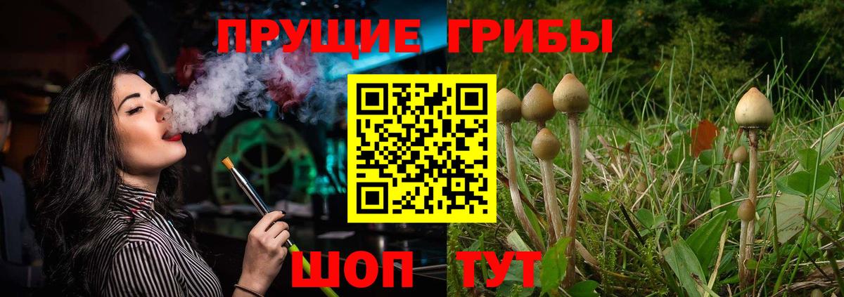где продают   Вход с VPN  Кстово  Галлюциногенные грибы мицелий 