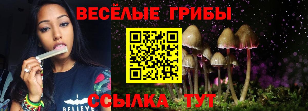 Псилоцибиновые грибы GOLDEN TEACHER Кстово